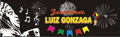 CD JUNINA LUIZ GONZAGA 2011