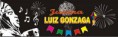 DVD TUR 2011 JUNINA LUIZ GONZAGA